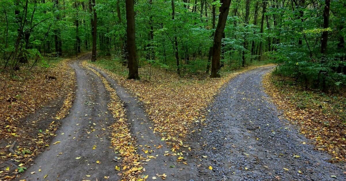 Ein Weg im Weld, der sich gabelt. Zeigt, dass UX Writing und Texten 2 unterschiedliche Fachbereiche sind.